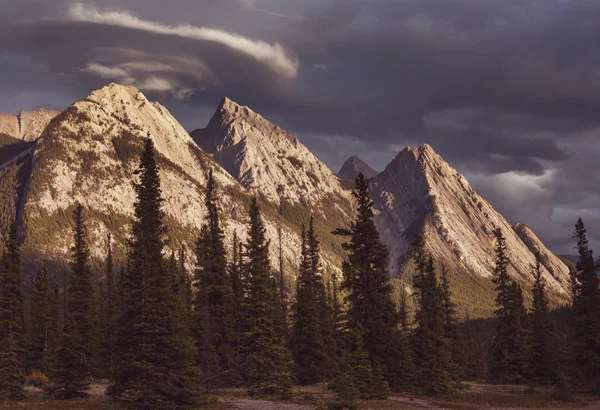 Γραφική Θέα Στο Βουνό Στο Canadian Rockies Κατά Θερινή Περίοδο — Φωτογραφία Αρχείου