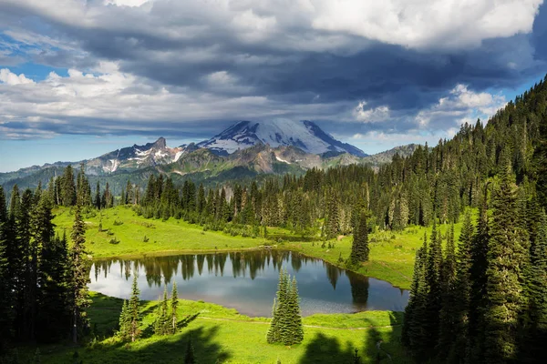 Εθνικό Πάρκο Mount Rainier Ουάσιγκτον — Φωτογραφία Αρχείου