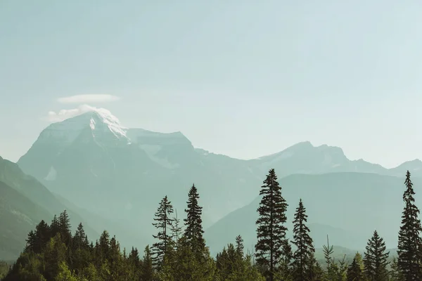 カナダの夏のシーズンの美しいマウントロブソン — ストック写真