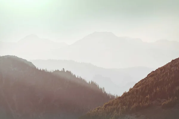 Krásný Vrchol Hory Severním Kaskádovém Pohoří Washington Usa — Stock fotografie