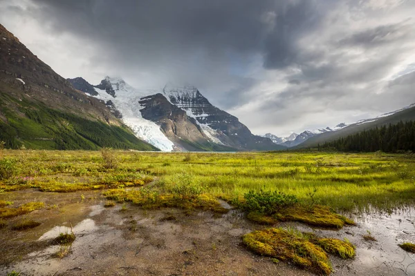 Gyönyörű Mount Robson Nyári Szezonban Kanada — Stock Fotó