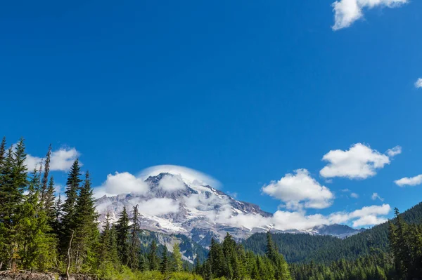 Parc National Mont Rainier Washington — Photo