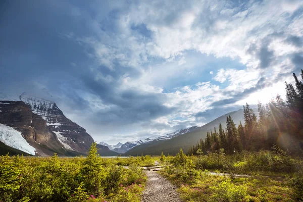 Hermoso Monte Robson Temporada Verano Canadá — Foto de Stock