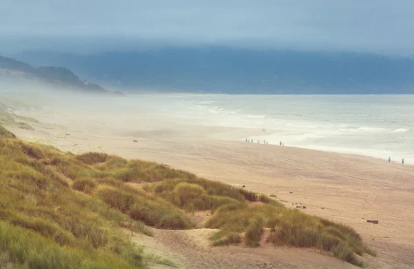 Stillahavskusten Oregon Usa — Stockfoto