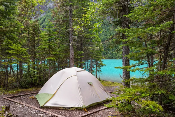 Tente Touristique Moderne Suspendue Entre Les Arbres Dans Forêt Verte — Photo