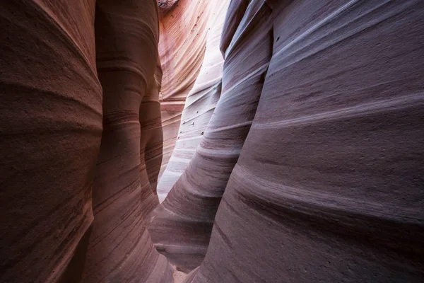 Slot Canyon Grand Staircase Escalante Nationalpark Utah Usa Ungewöhnlich Bunte — Stockfoto