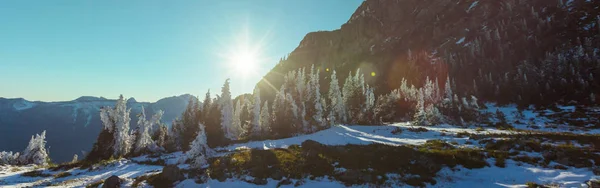 Tidig Vinter Med Första Snön Som Täcker Stenar Och Skogen — Stockfoto