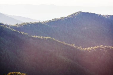 Alaska 'da yaz yeşil tepeler.