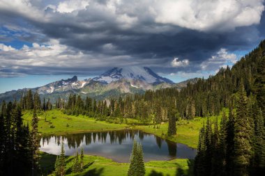 Mount Rainier Ulusal Parkı, Washington