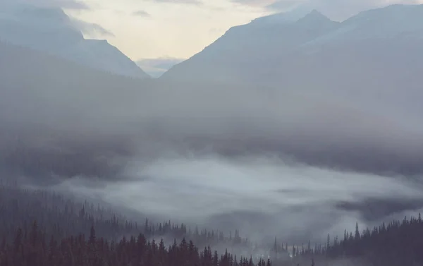 Γραφική Θέα Στο Βουνό Στο Canadian Rockies Κατά Θερινή Περίοδο — Φωτογραφία Αρχείου