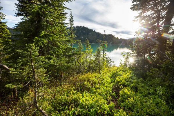 Klidné Jezero Horách Letní Sezóně Krásné Přírodní Krajiny — Stock fotografie