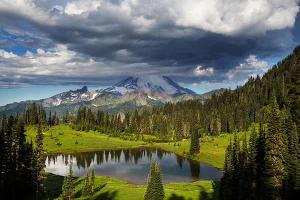 Parque Nacional Mount Rainier Washington — Fotografia de Stock