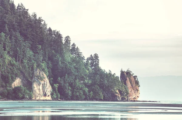 アメリカ合衆国ワシントン州オリンピック国立公園の風光明媚で厳格な太平洋岸 海の岩やビーチの大きな丸太 — ストック写真