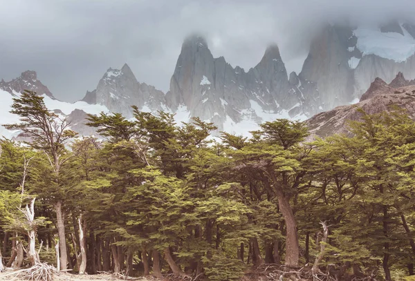 Paysages Patagonie Dans Sud Argentine — Photo