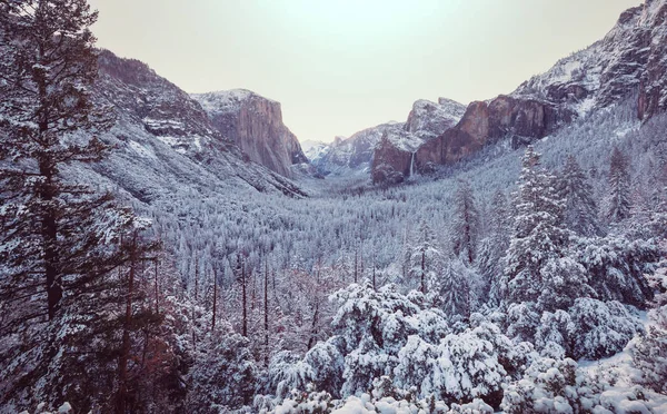 Зимний Сезон Национальном Парке Йосемити Калифорния Сша — стоковое фото