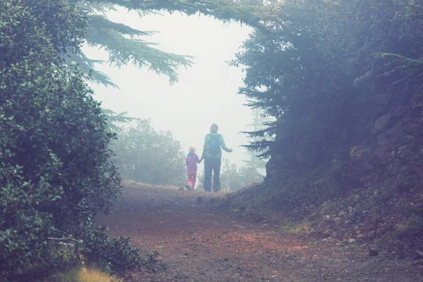 Menina Caminhando Baía Trilha Floresta — Fotografia de Stock