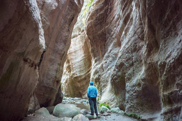 Tourist Der Avakas Schlucht Kreis Paphos Zypern Berühmte Kleine Schlucht — Stockfoto