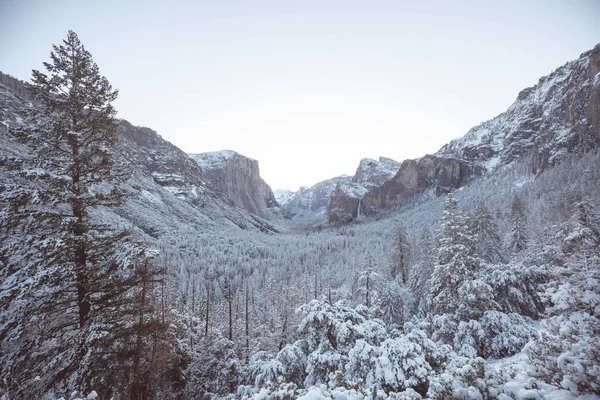 Sezon Zimowy Parku Narodowym Yosemite Kalifornia Usa — Zdjęcie stockowe
