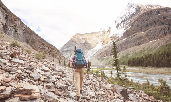 Escursionista Sulle Montagne Canadesi Hike Attività Ricreativa Popolare Nord America — Foto Stock