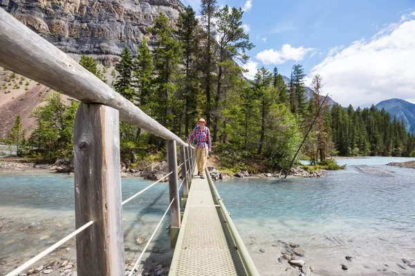 Wandelaar Canadese Bergen Wandelen Populaire Recreatie Activiteit Noord Amerika Zijn — Stockfoto