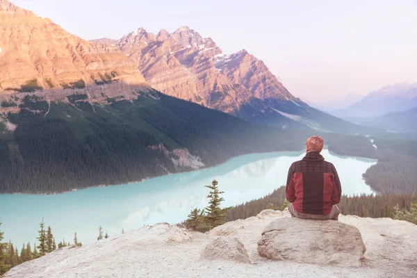 Lago Peyto Banff National Park Canadá — Fotografia de Stock