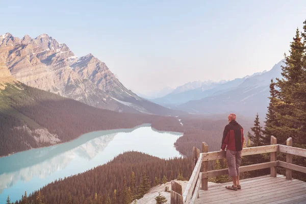 Peyto Lake Banff Nemzeti Parkban Kanada — Stock Fotó