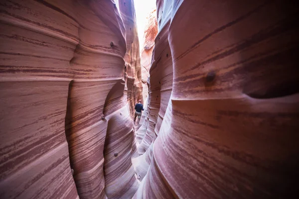 Slot Canyon Grand Staircase Escalante National Park Utah Eua Formações — Fotografia de Stock