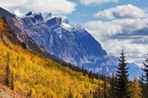Piękny Sezon Jesienny Kanadyjskich Górach Kontekst Upadku — Zdjęcie stockowe