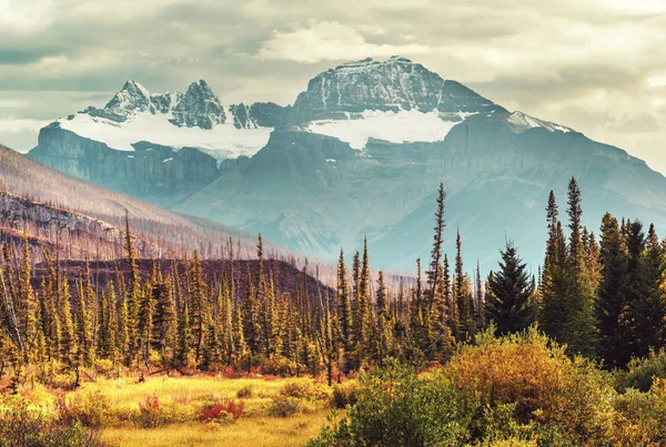 Hermosa Temporada Otoño Las Montañas Canadienses Fondo Caída —  Fotos de Stock