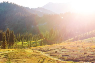 North Cascade Range, Washington / ABD 'de güzel bir dağ zirvesi.