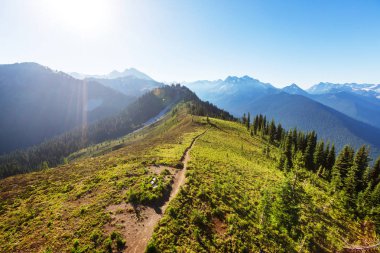 North Cascade Range, Washington / ABD 'de güzel bir dağ zirvesi.