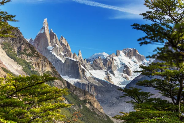 阿根廷巴塔哥尼亚山区著名的美丽山峰Cerro Torre 南美洲美丽的山区景观 — 图库照片