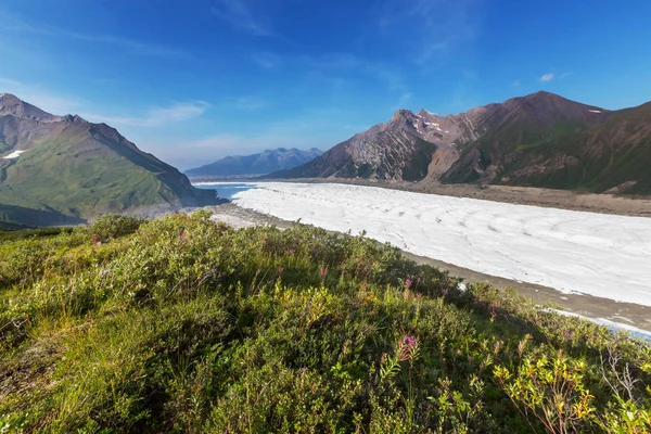 Yazın Alaska Nın Picturesque Dağları Karla Kaplı Kütleler Buzullar Kayalık — Stok fotoğraf