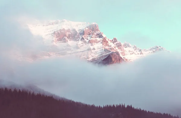 Pittoresca Vista Sulle Montagne Rocciose Canadesi Nella Stagione Estiva — Foto Stock