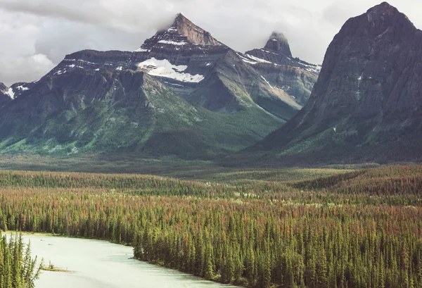 Picturesque Mountain View Canadian Rockies Summer Season — стокове фото