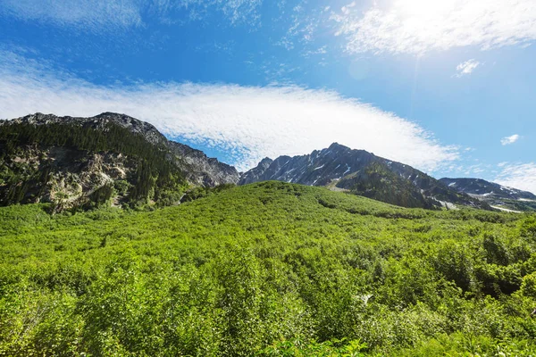 夏天的阿拉斯加风景如画的山脉 覆盖着大块积雪 冰川和岩石的山峰 — 图库照片