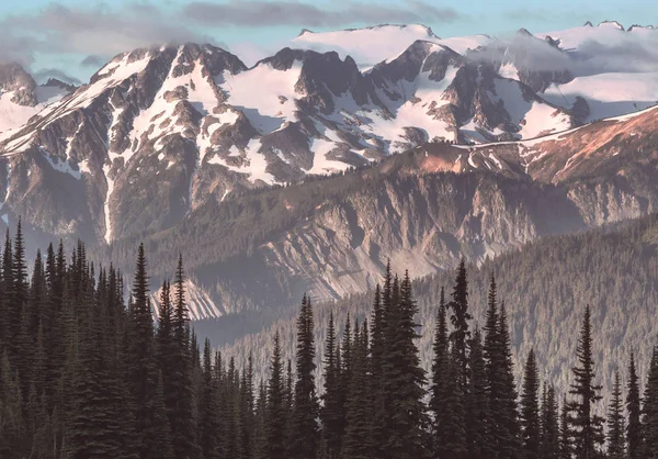 Bella Vetta Montuosa Nella North Cascade Range Washington Usa — Foto Stock