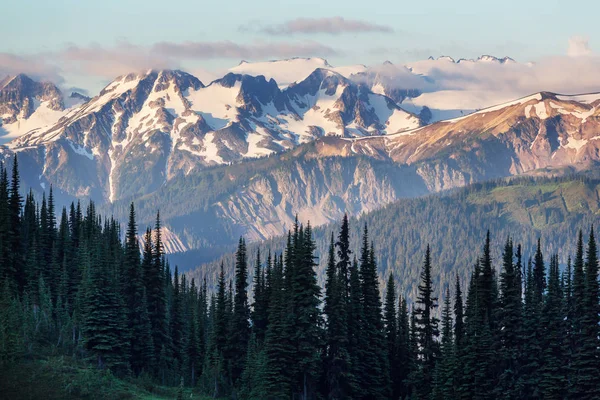 Magnifique Sommet Montagneux Dans Chaîne Des Cascades Nord Washington Usa — Photo