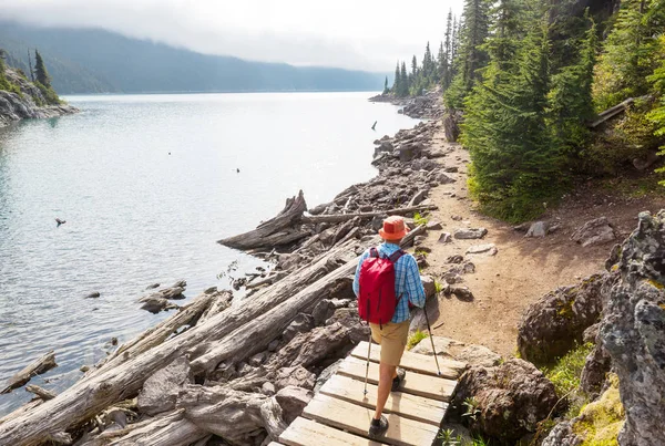 Caminata Aguas Turquesas Del Pintoresco Lago Garibaldi Cerca Whistler Canadá —  Fotos de Stock