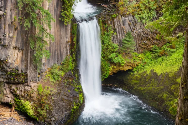 Vackert Vattenfall Grön Skog Oregon Usa — Stockfoto