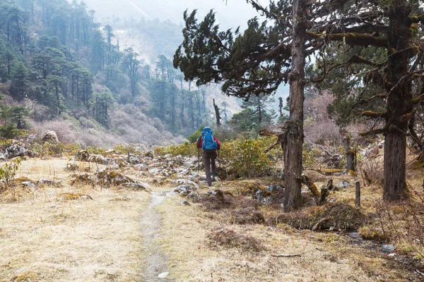 Escursionista Nella Giungla Himalayana Nepal Regione Kanchenjunga — Foto Stock