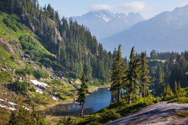 North Cascade Range, Washington / ABD 'de güzel bir dağ zirvesi.