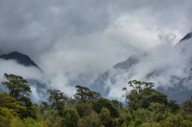 Yüksek dağlarda sis var. Güzel doğal manzaralar..