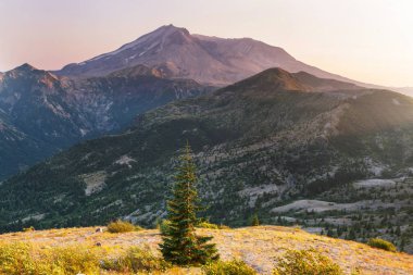 Washington 'daki St. Helens Dağı, Usa
