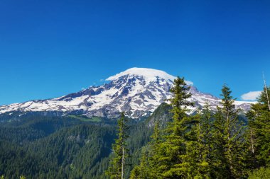 North Cascade Range, Washington / ABD 'de güzel bir dağ zirvesi.