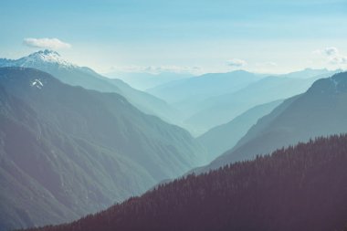 North Cascade Range, Washington / ABD 'de güzel bir dağ zirvesi.