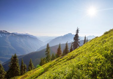 North Cascade Range, Washington / ABD 'de güzel bir dağ zirvesi.