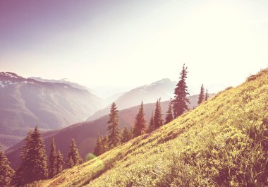 North Cascade Range, Washington / ABD 'de güzel bir dağ zirvesi.