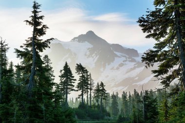 Man looking on Beautiful peak Mount Shuksan in Washington, USA clipart