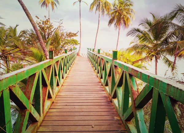 Trädpromenad Den Tropiska Stranden — Stockfoto